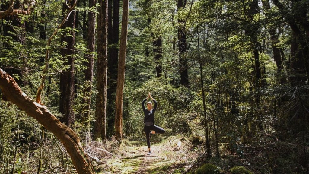 native forest in the heart of DOC conservation land