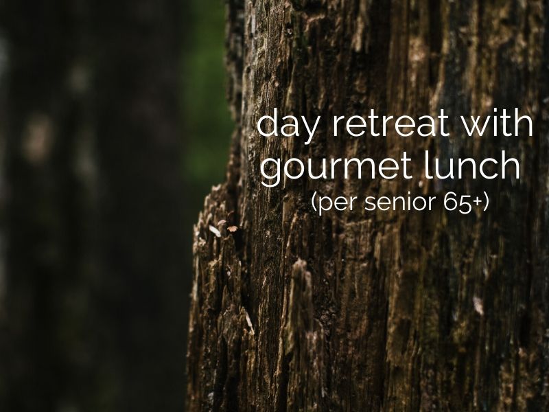 day retreat with gourmet lunch (per senior 65+)