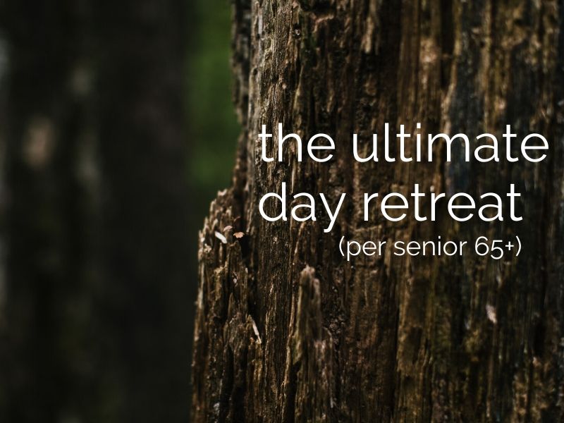 day retreat with gourmet lunch & massage (per senior 65+)